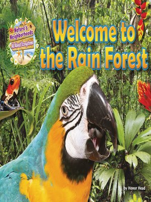 cover image of Welcome to the Rain Forest